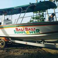 Bali Bali Resort, Samal Island 