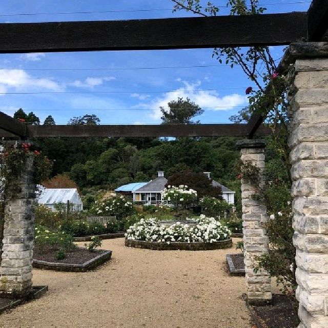 Dunedin Botanic Garden