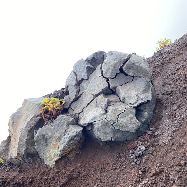 人生一度は登ってみたい富士山！！