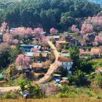 จุดชมวิววัดป่าภูหินร่องกล้า

