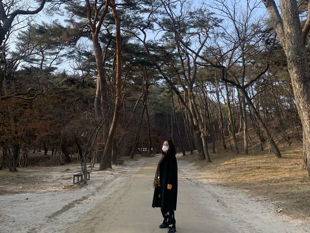 산책하기 좋은 길, 효종대왕릉에서 세종대왕릉까지