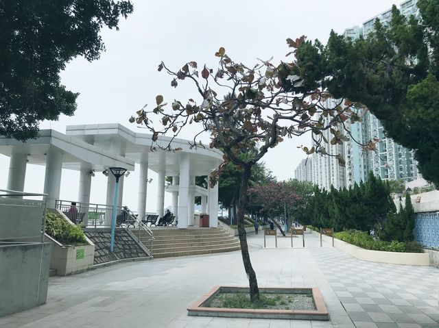 屯門海濱花園無敵大海景