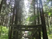 【熊本県】一度は見たい絶景神社でパワーチャージ⛩