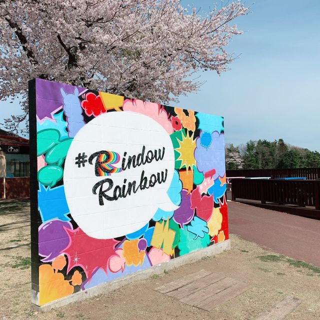 【栃木】那須高原りんどう湖ファミリー牧場の桜🌸