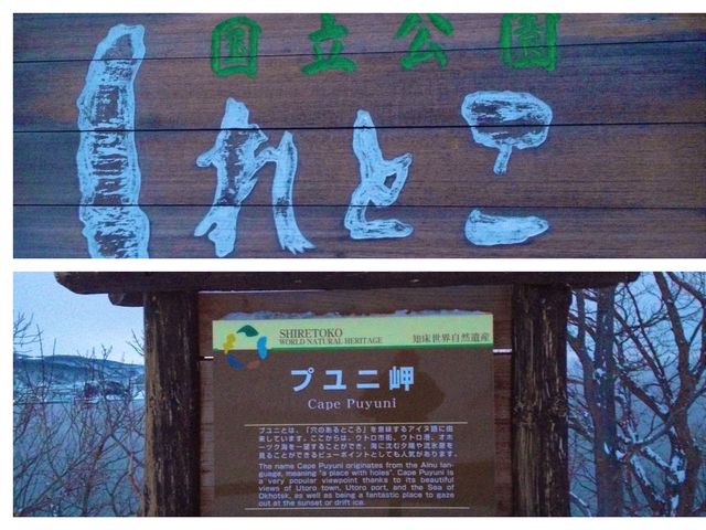 北海道　世界自然遺産　冬の知床プユニ岬で鹿と戯れた❗️