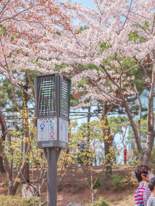 서울 피크닉하기 좋은 곳, 석촌호수공원