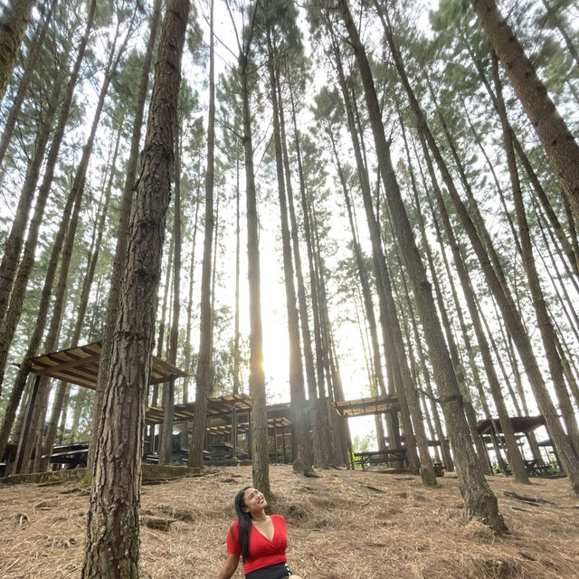 Dahilayan Forest Park Resort 🍃