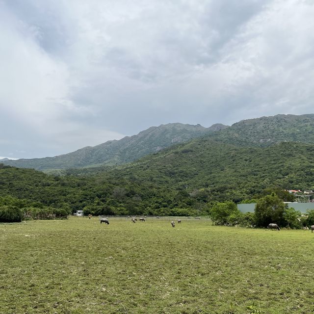 隱藏在南大嶼山的一處秘景㊙️