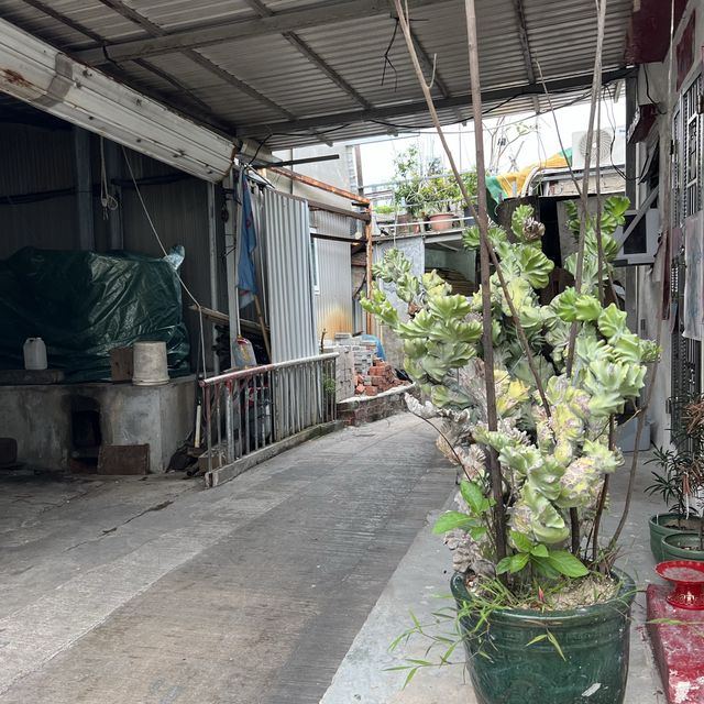 布袋澳好正 布袋澳好正