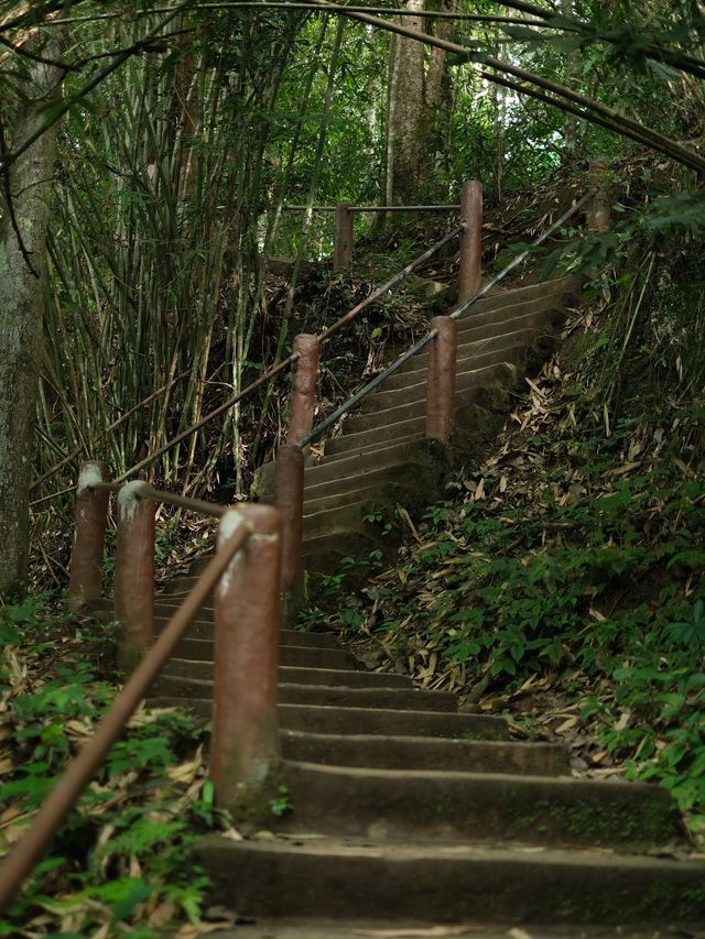 ถ่ายรูปมุมสวยๆ ที่ น้ำตกเหวสุวัต เขาใหญ่ 