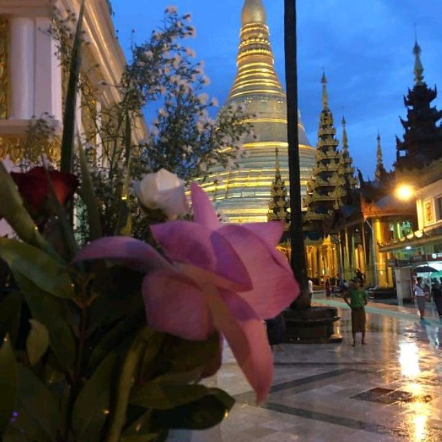 #shwedagon #pagoda #yangon #myanmar