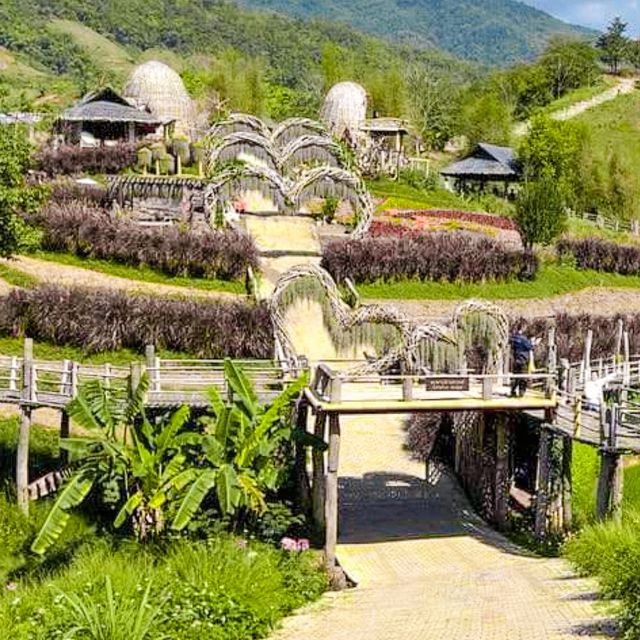 สวนร้อยใจรักษ์ อ.แม่อาย จ.เชียงใหม่