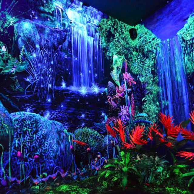 3D Glow in the Dark Museum