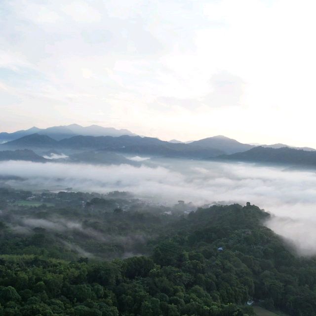 Sea of Clouds Tanay