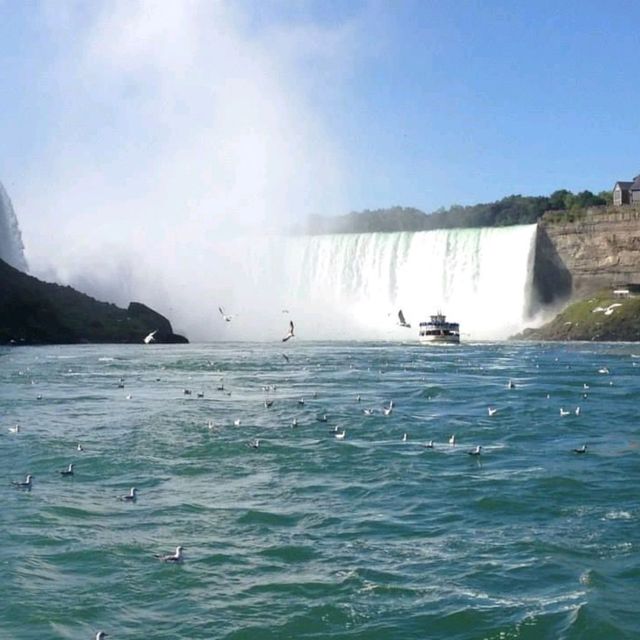 Amazing Waterfall- Niagara Falls