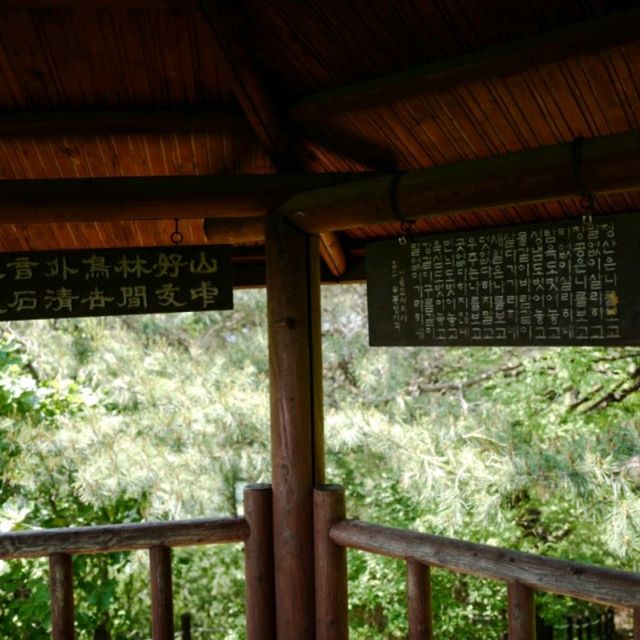 수원 피크닉 광교산 등산