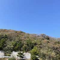 【兵庫県】秋の赤穂で絶景カフェと紅葉を楽しむ