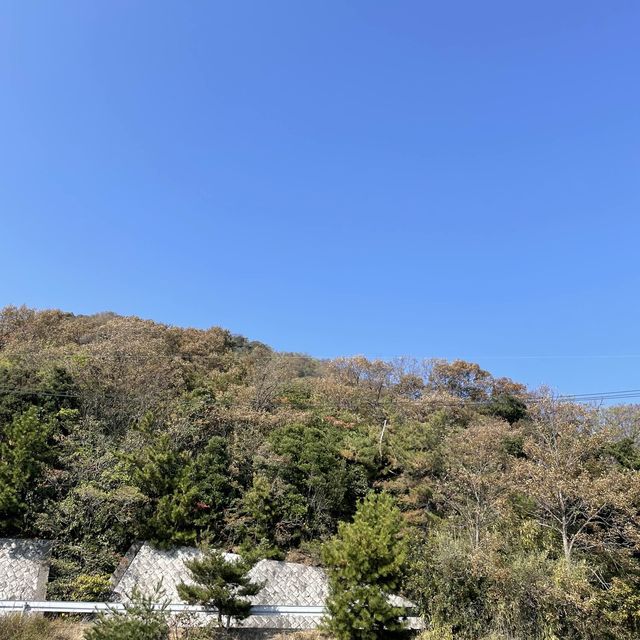 【兵庫県】秋の赤穂で絶景カフェと紅葉を楽しむ