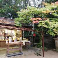 兎に縁のある神社　世界遺産　宇治上神社