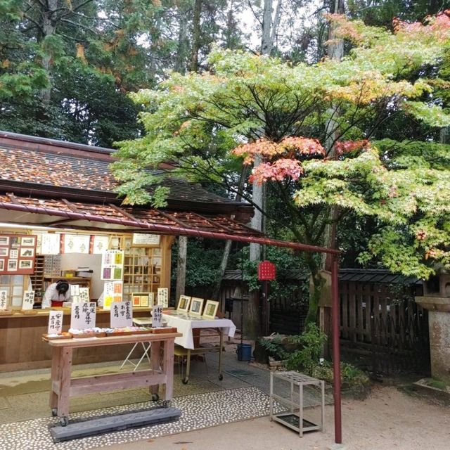 兎に縁のある神社　世界遺産　宇治上神社