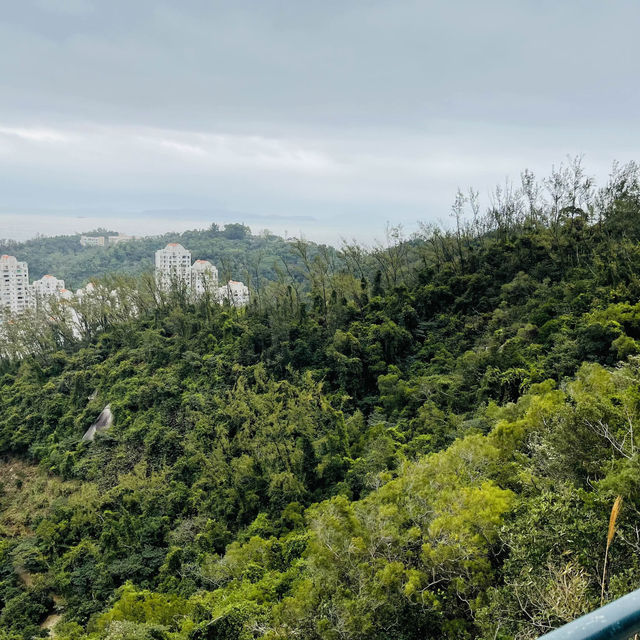 Estrada do Alto de Coloane