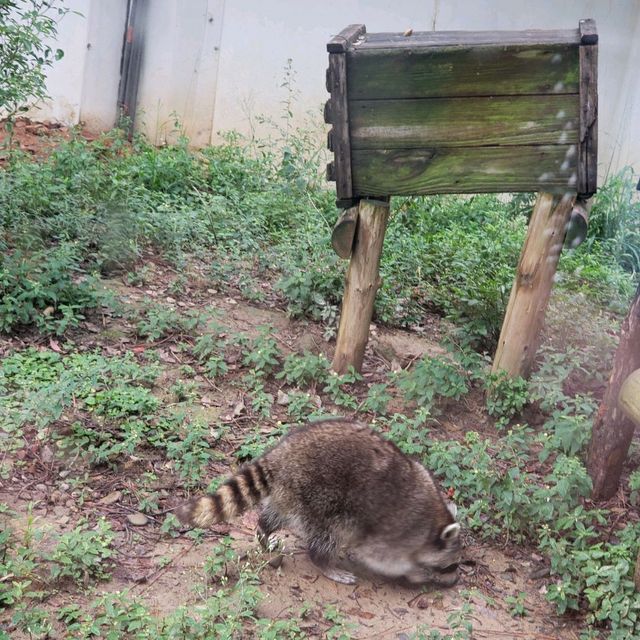親子遊【新竹市區】新竹市立動物園