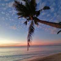 Create the “on-line” picture of a lifetime!