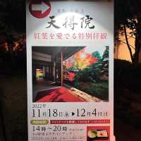 【京都】特別拝観の見応えはさすが
