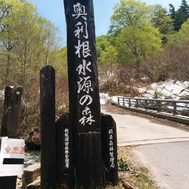 Okutone Suigennomori