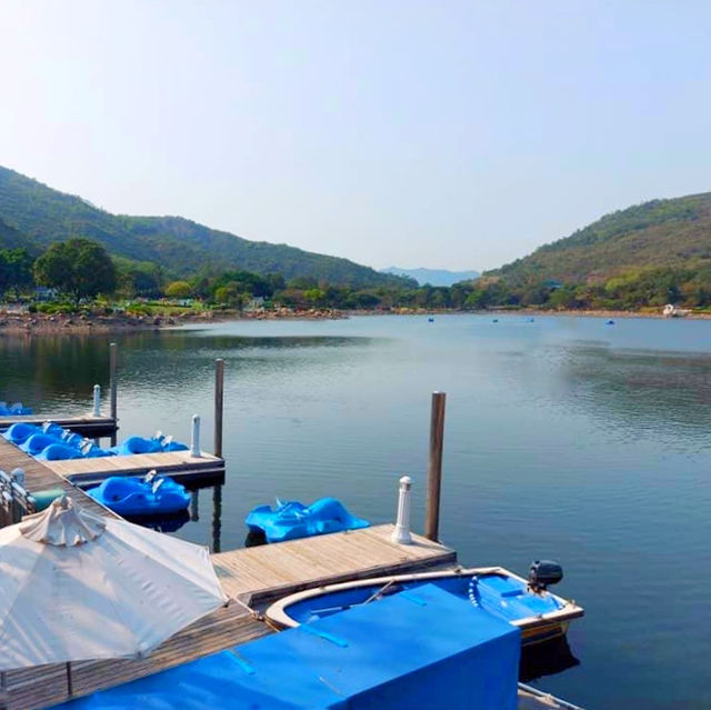 迪欣湖野餐日