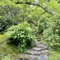 白雲洞茶苑　付属茶花園