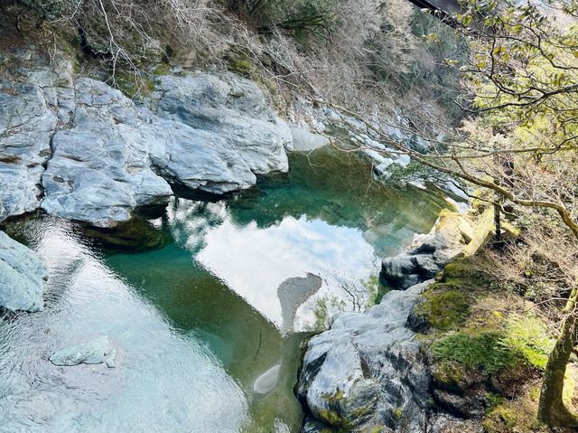 【徳島】祖谷渓谷のかずら橋