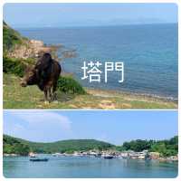 假日小島輕鬆一日遊😎望住大海草地牛牛盡情放鬆