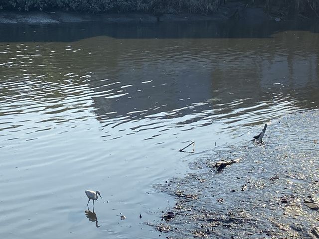 南生圍—香港後花園