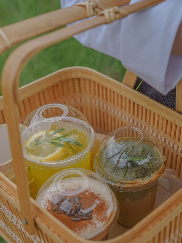 계절 꽃으로 가득한 뷰좋은 카페 원주 사진정원🌼