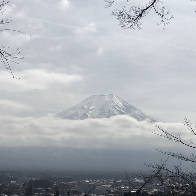 ［新倉富士淺澗神社］- 跟富士山互相輝映🗻