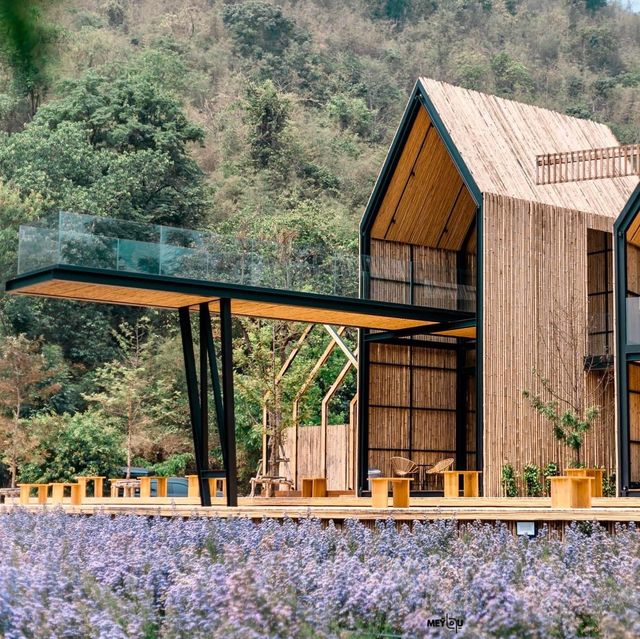 CHAN nature cafe' 
