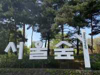 봄꽃 가득한 서울숲