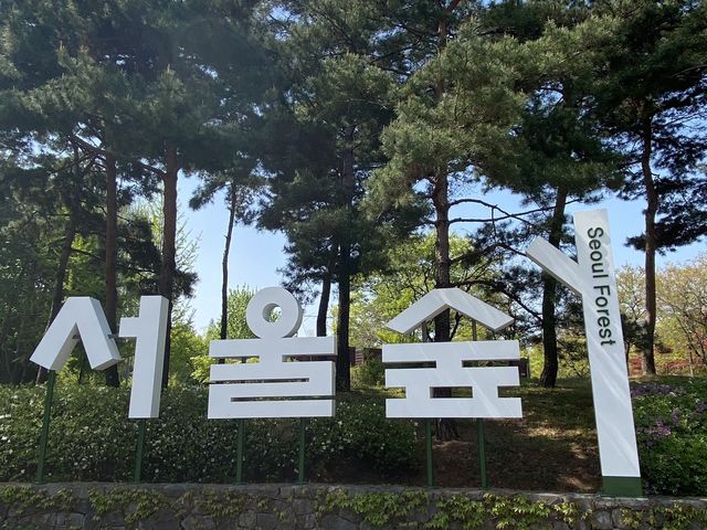 봄꽃 가득한 서울숲