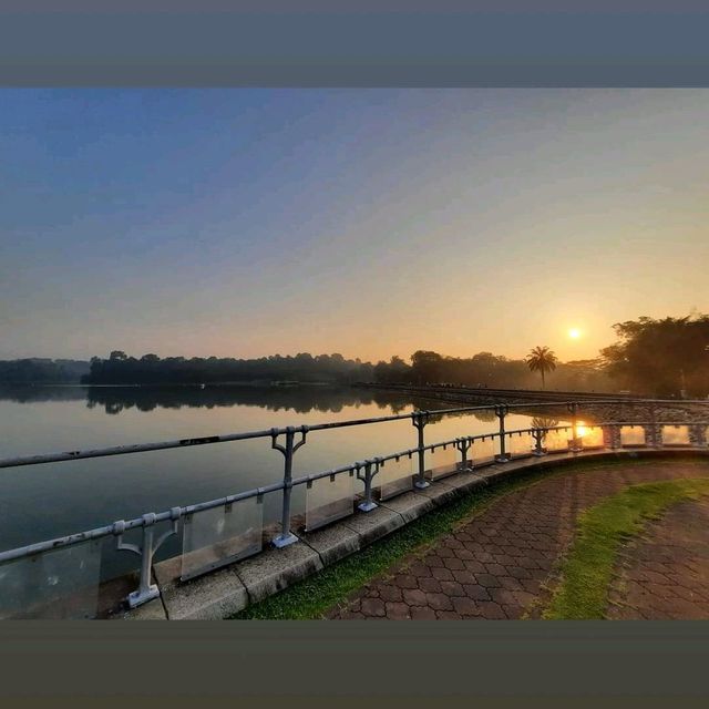 Discover Nature @ Macritchie