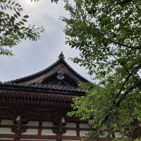京都の五重塔といったらココ東寺
