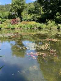 지베르니 모네의 정원