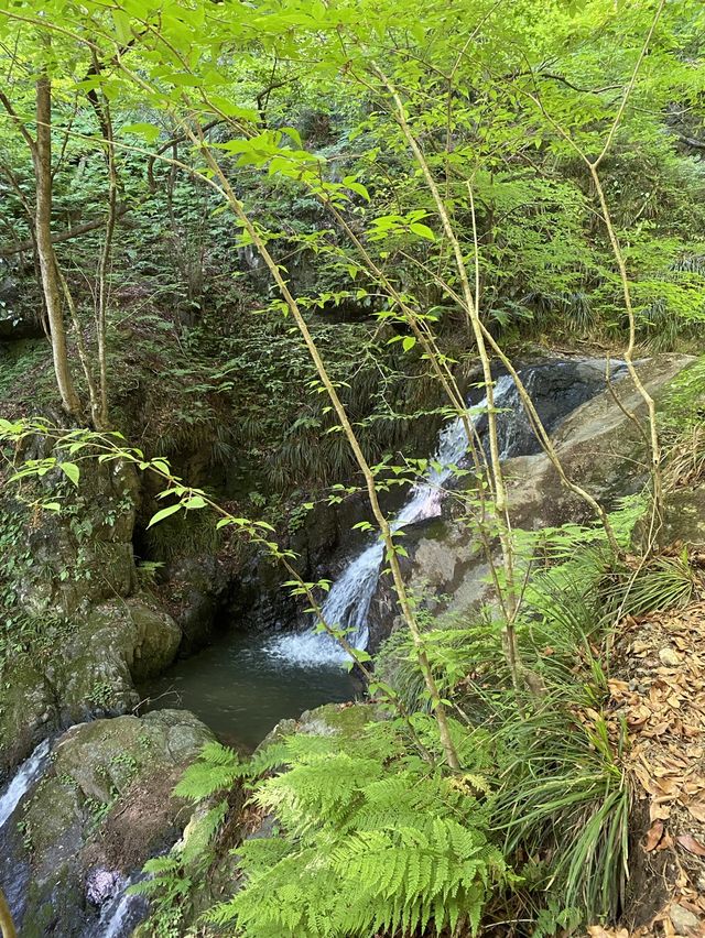 【東京・奥多摩】棒ノ折山