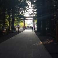 【鹿児島県】霧島神宮で神話と神秘に触れる旅