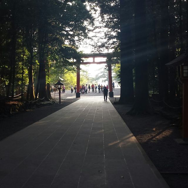 【鹿児島県】霧島神宮で神話と神秘に触れる旅