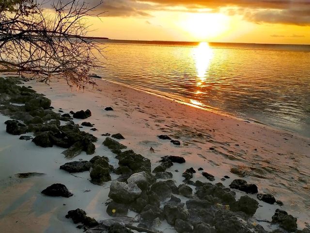 Di masasawi sa ganda ng tawi tawi city!!