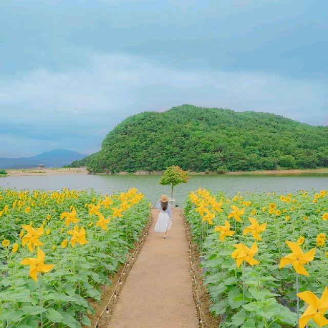 🌻해바라기와 하도지의 조화가 아름다운 [경주카페, 바실라]