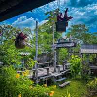 คาเฟ่&ร้านอาหาร วิวท้องนา