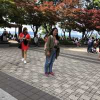 Great view of the city from Namsan