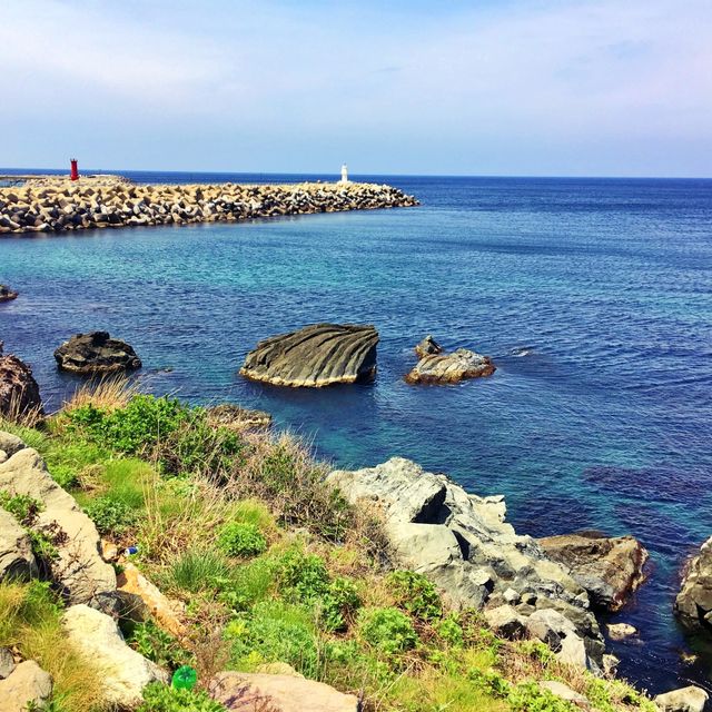 📸 꼭 가봐야 할 섬여행, 울릉도 풍경